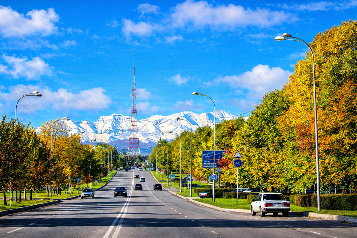 Транспортные службы Нальчика: бесплатный поиск оптимального тарифа